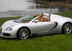 Bugatti Veyron Grand Sport на траве